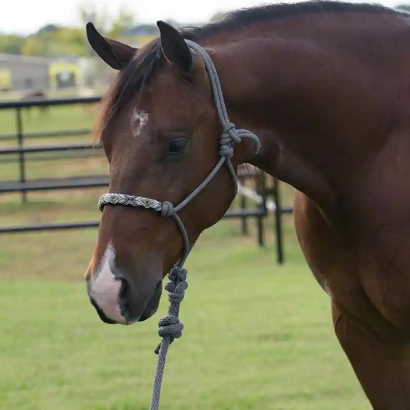 Beaded Nose Rope Halter -W/Lead-  Charcoal