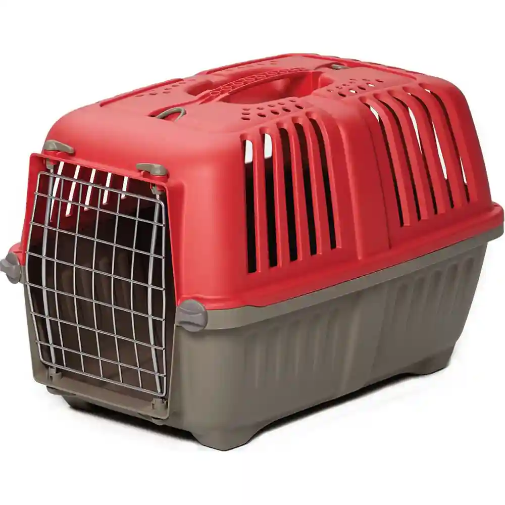 1422spr Spree Red Pet Carr 22"