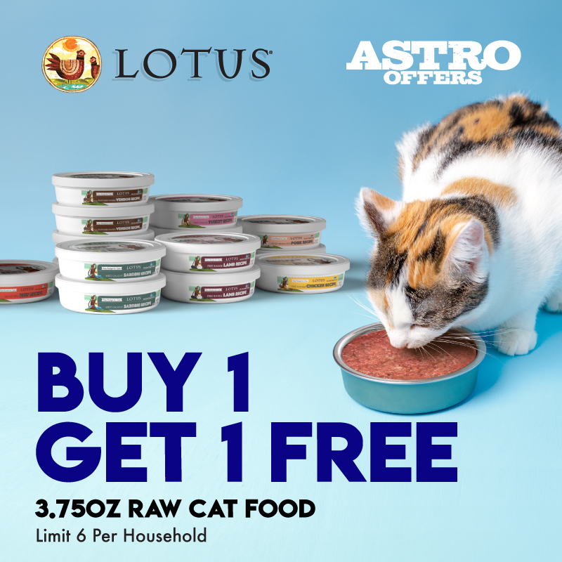 Promotion Image