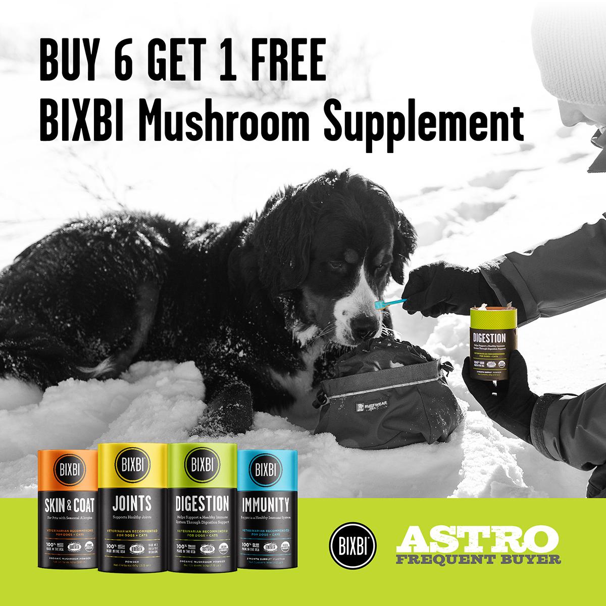 Promotion Image