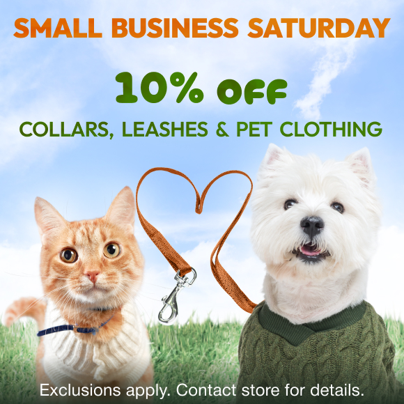Promotion Image