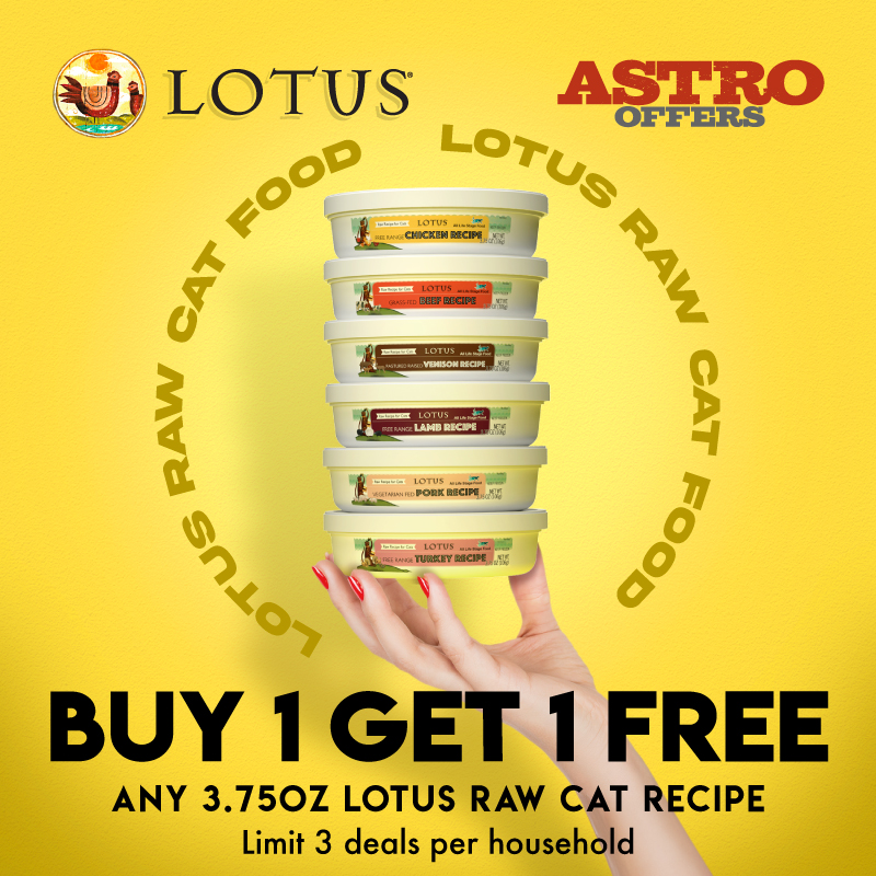 Promotion Image