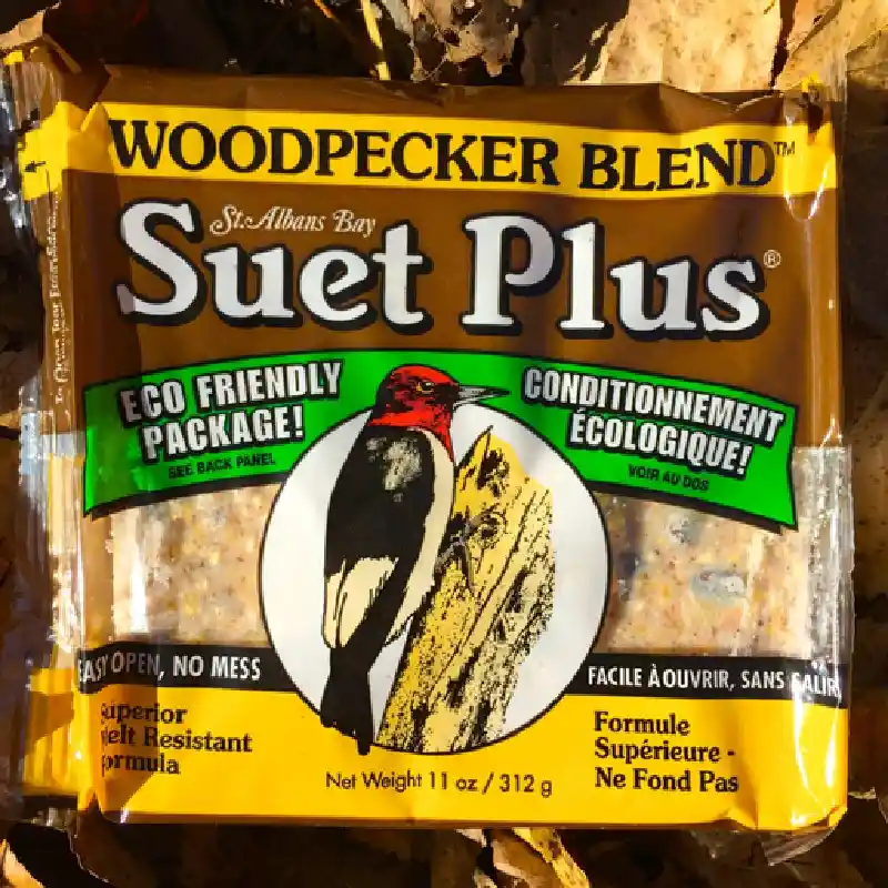 Suet Plus Woodpecker Blend 11oz