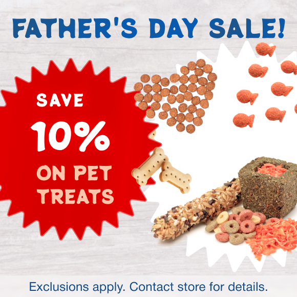 Promotion Image