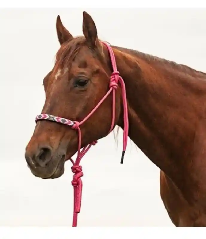 Cashel Beaded Nose Rope Halter Fuchsia w/Lead