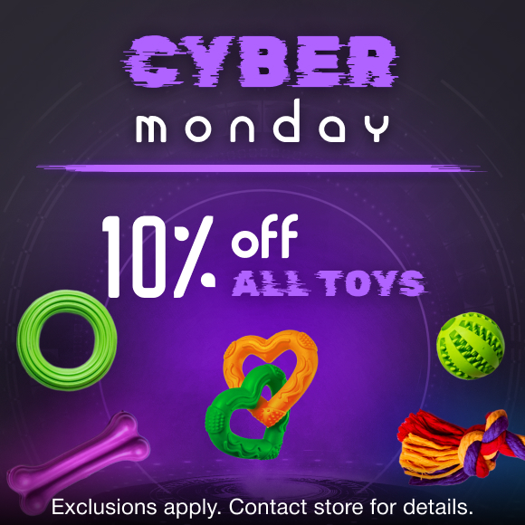 Promotion Image