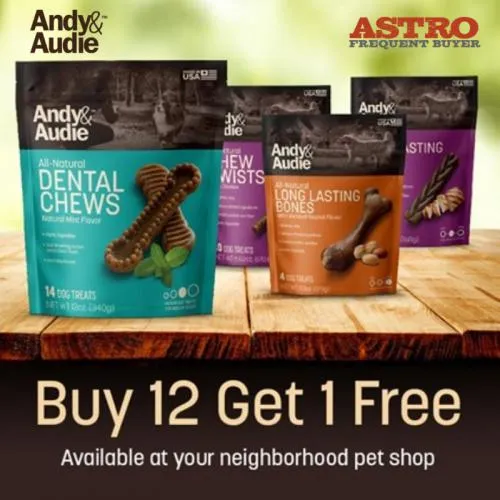 Promotion Image