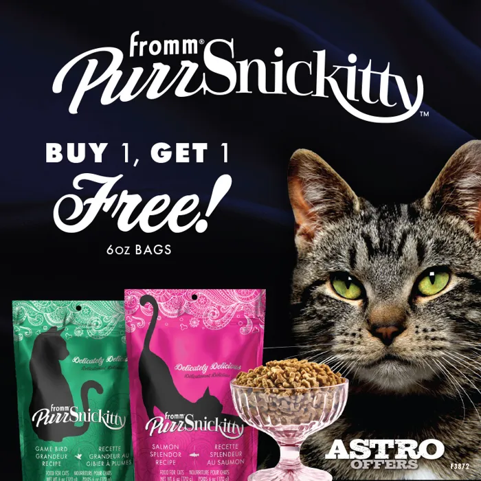 Promotion Image