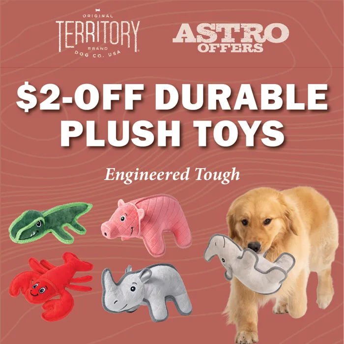 Promotion Image