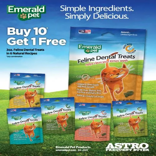 Promotion Image