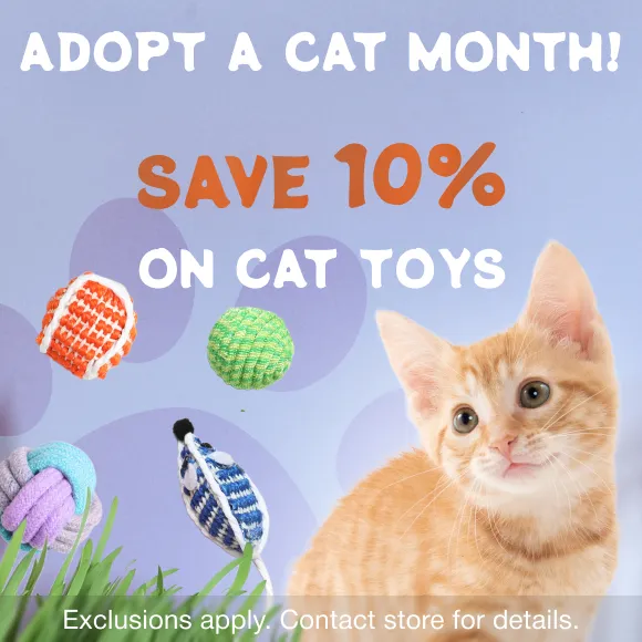 Promotion Image