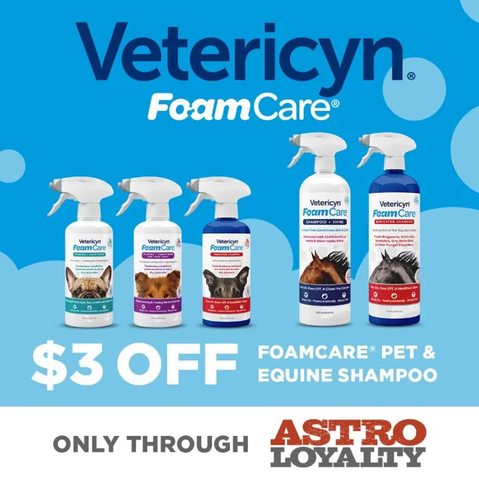 Promotion Image