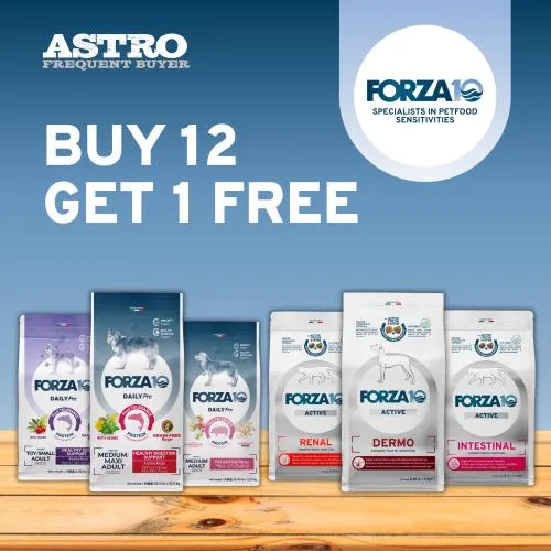 Promotion Image