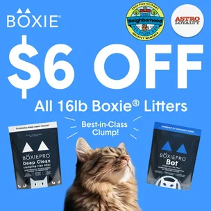 Boxiecat USA | Neig…