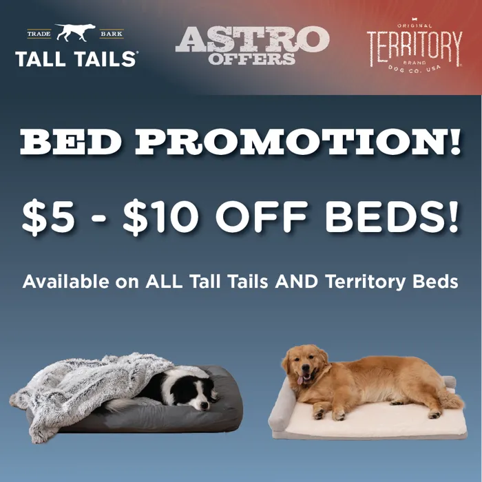Promotion Image