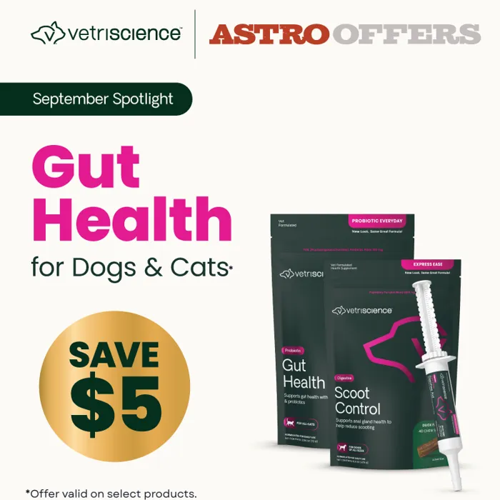 Promotion Image