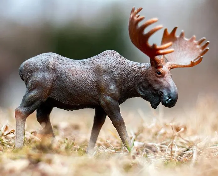 Breyer CollectA - Moose