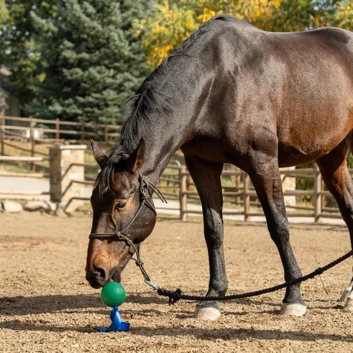 Petkore Koreflex Ball & Tail For Equine, Green