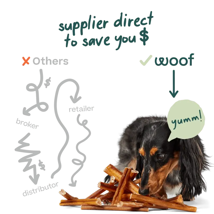 Woof BullySafe collagen chews dachshund lifestyle