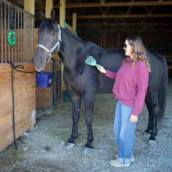 Petkore Groomraker For Equine, Green, Large