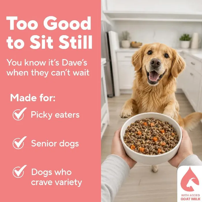 Dave's Dog Wet Homestyle Chic Salm & Brn Rice Pch