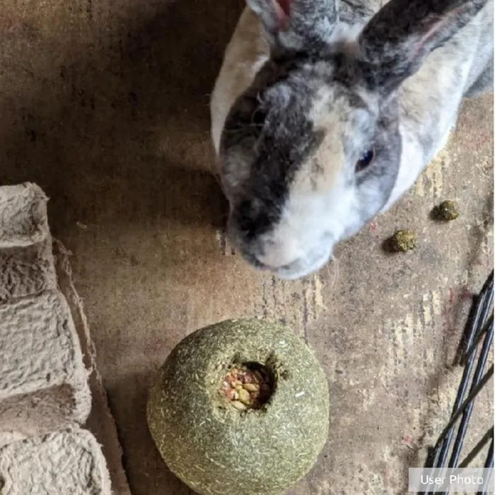 Timothy Roll N Toss Treat