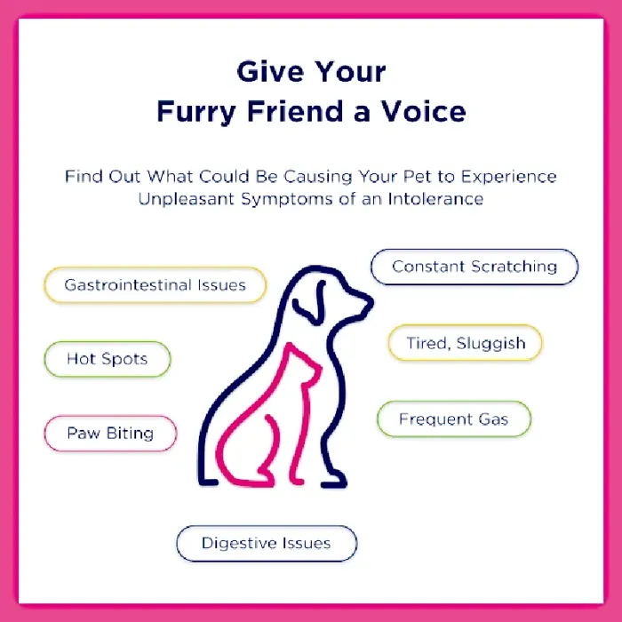 Ucari Pet Intolerance Test