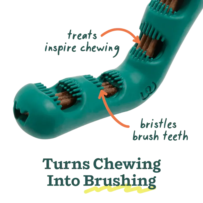 Woof Dog Toy Bite-N-Brush Large