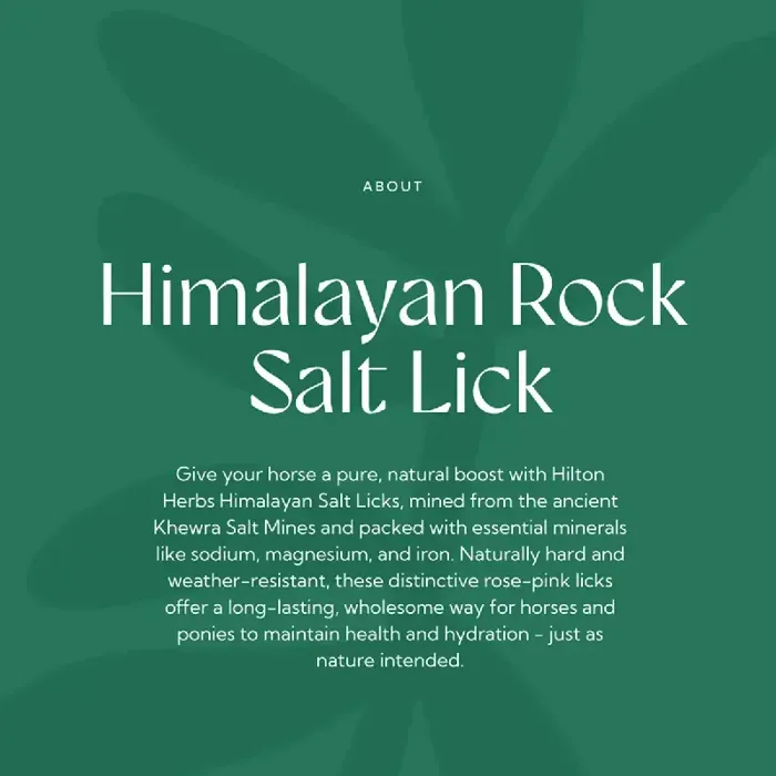 Salt Lick Himalyan Rock Sml