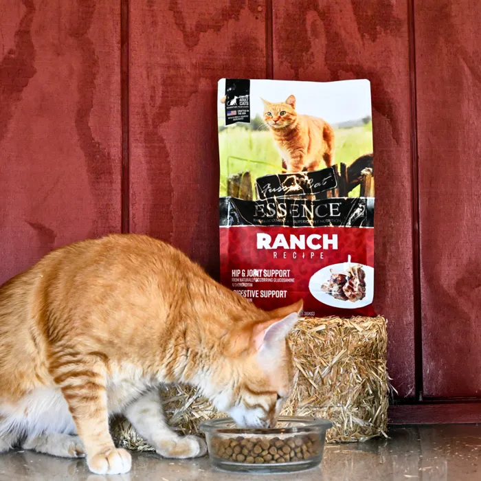 Fussie Cat Essence Ranch Recipe lamb and pork 3-lb lifestyle