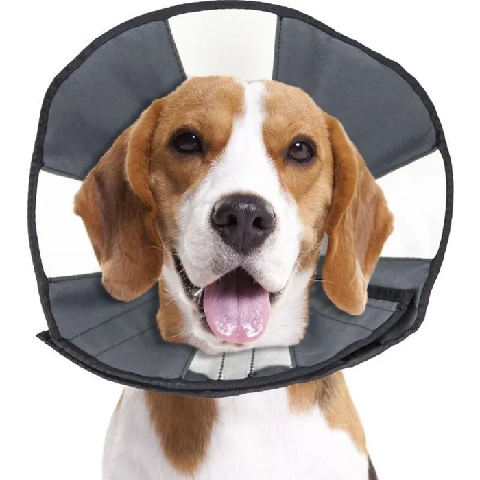 ZEN Medium Soft Recovery Cone