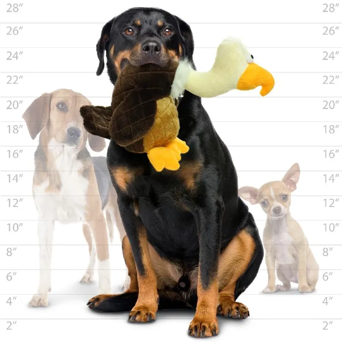 Mighty Safari - Vulture - Dog Toy