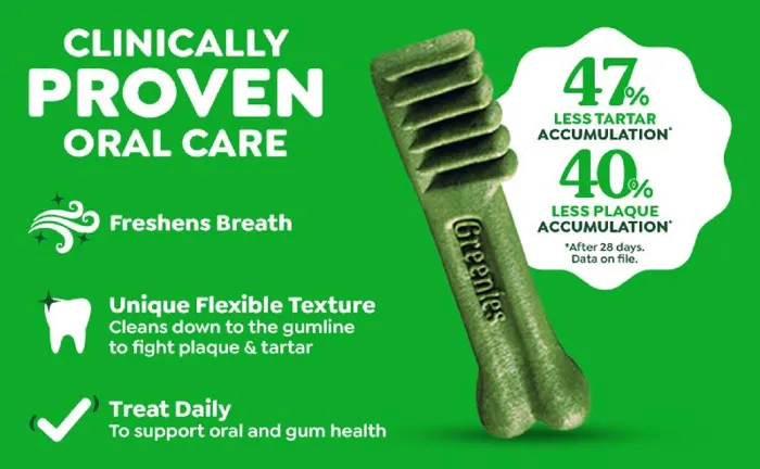 Greenies Original Dental Chews Petite 40ct 24oz