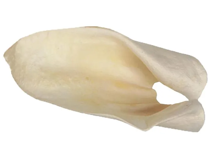 Redbarn Cow Ears Single