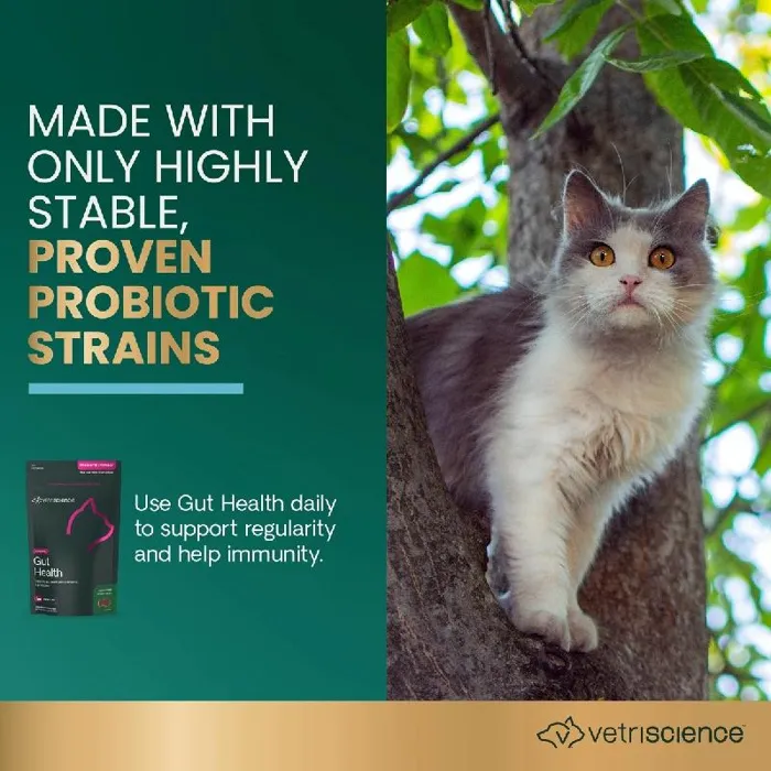VETRISCIENCE CAT GUT HEALTH DUCK 60 CT