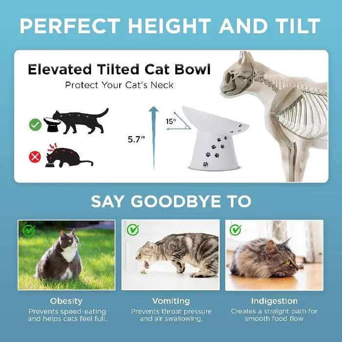 Necoichi Tilted Stress Free Raised Cat Food Bowl