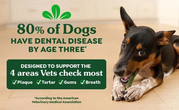 Greenies Original Dental Chews Petite 40ct 24oz
