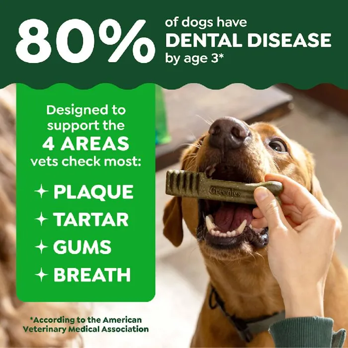 Greenies Original Dental Chews Regular 24ct