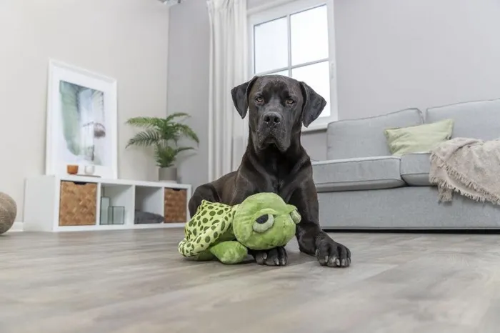 Trixie the Sleepy Turtle Plush Toy