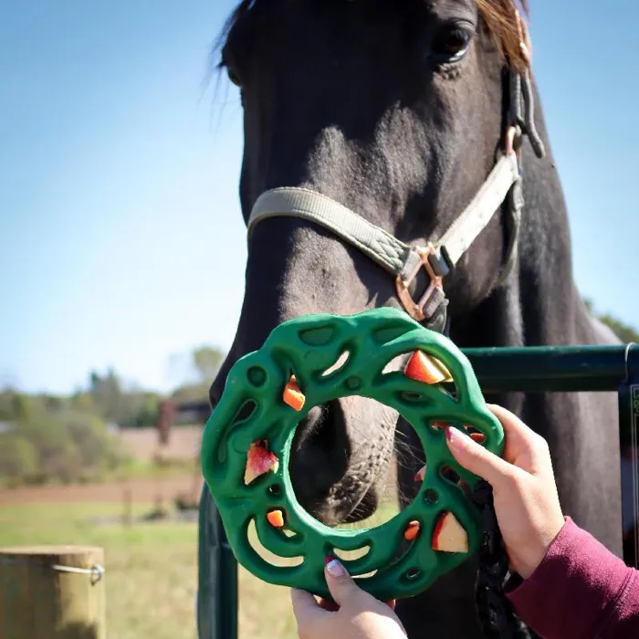 Petkore Luna Ring With Hanging Kit For Equine