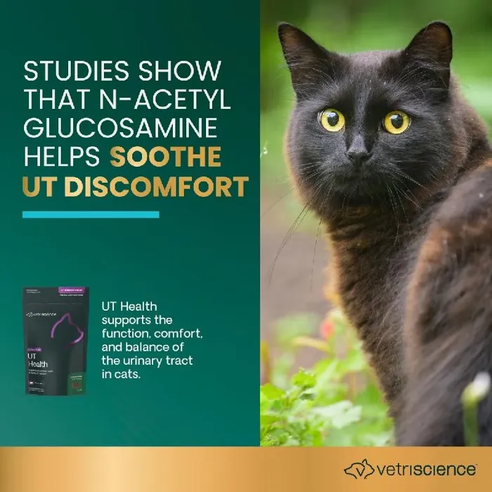 Vetriscience Cat UT Strength 60-ct