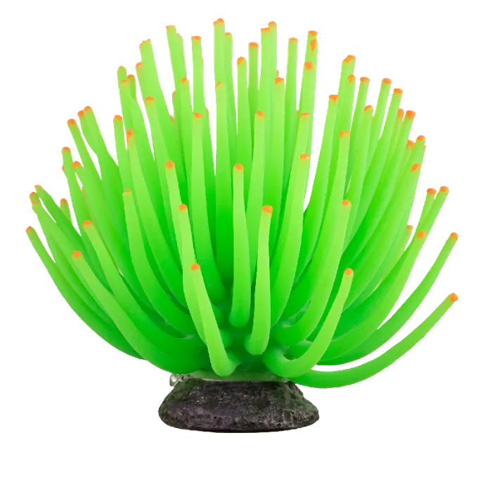 Tetra Glofish Anemone - Green - Large