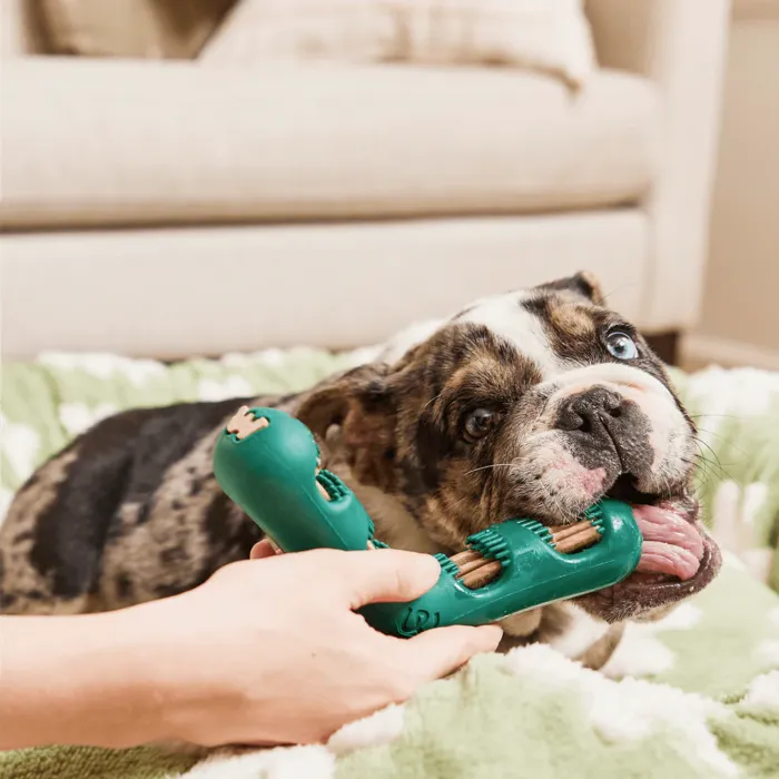 Woof Dog Toy Bite-N-Brush Large
