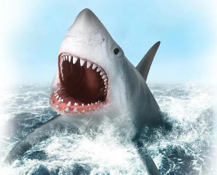 Breyer CollectA- Great White Shark