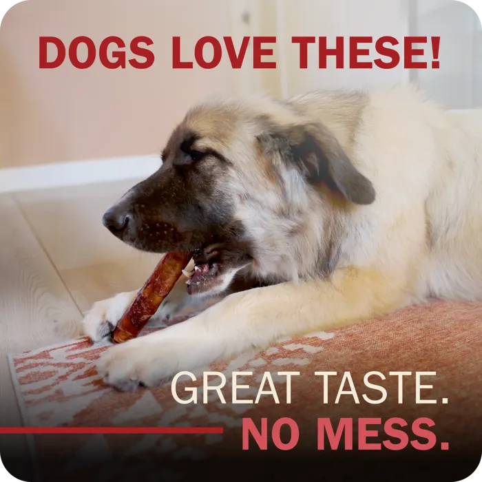 Redbarn Monster Bully Wrapped Collagen chew dog lifestyle