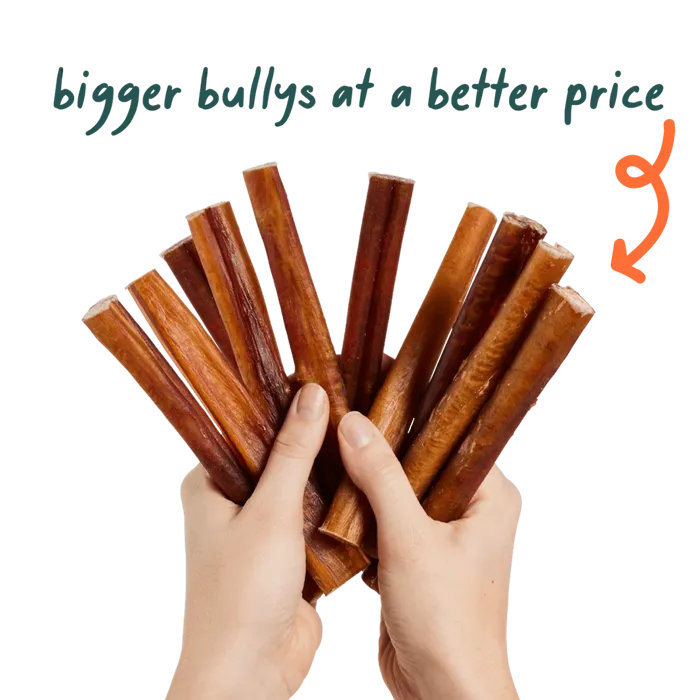 Woof BullySafe pure collagen chews held in hand