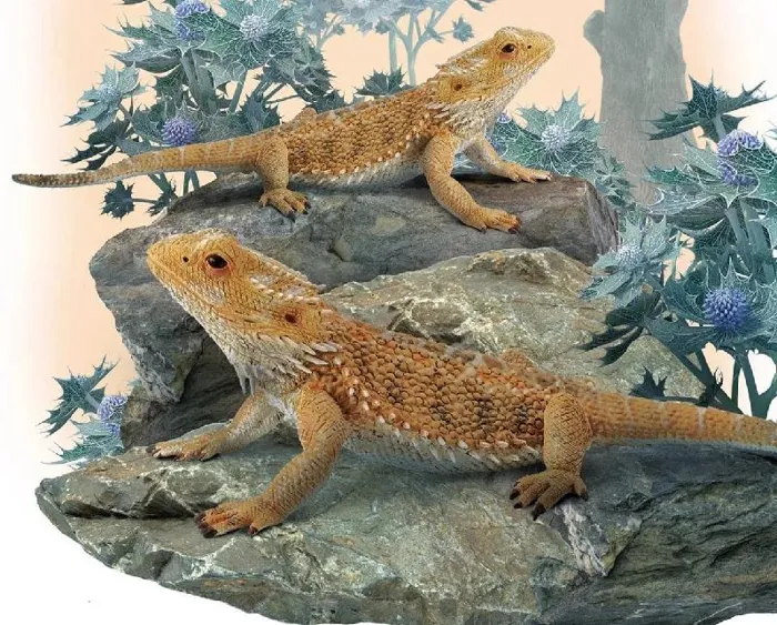 Breyer CollectA - Bearded Dragon, Lizard