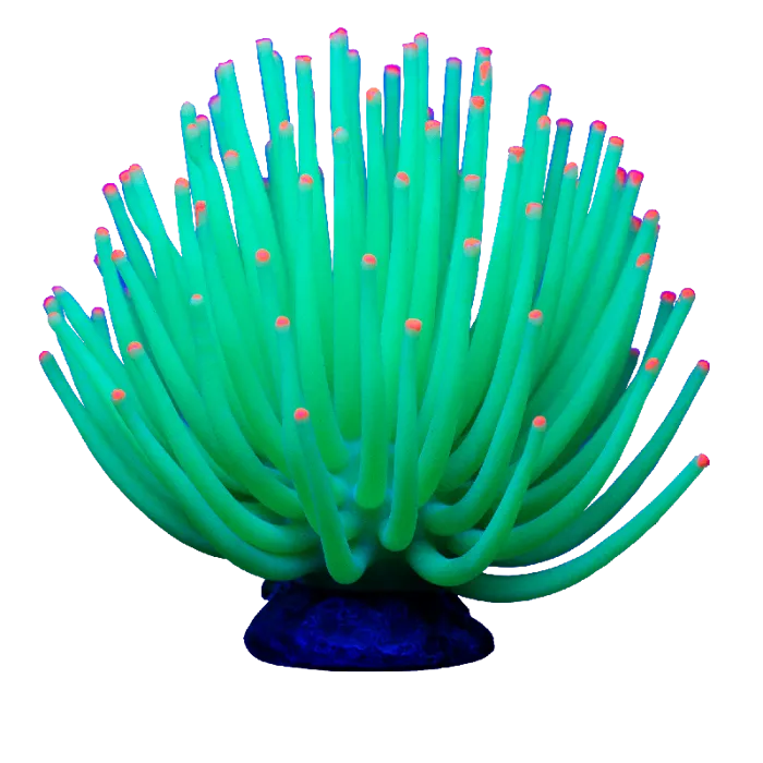 Tetra Glofish Anemone - Green - Large