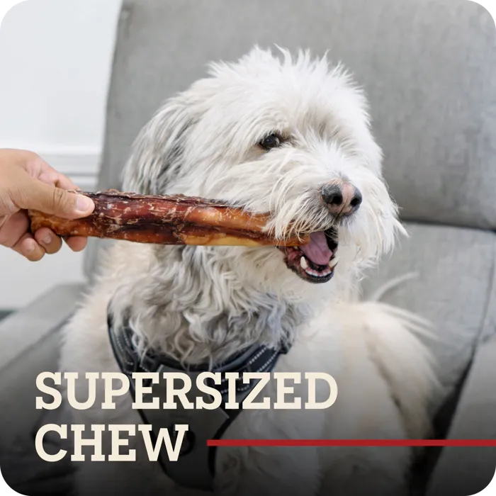 Redbarn Monster Bully Wrapped Collagen XL chew with dog
