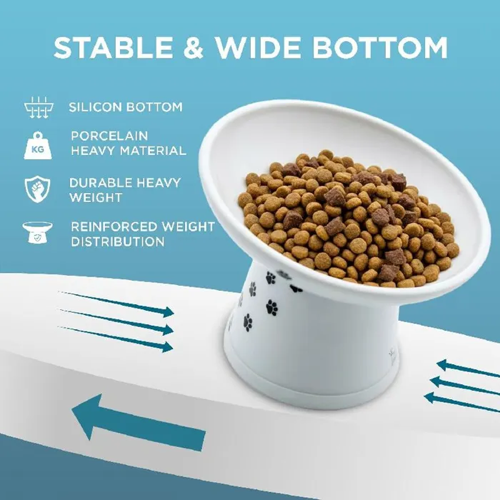 Necoichi Tilted Stress Free Raised Cat Food Bowl